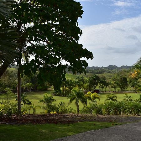 Hotel Hacienda Agroturistico Vista Hermosa Camuy Zewnętrze zdjęcie