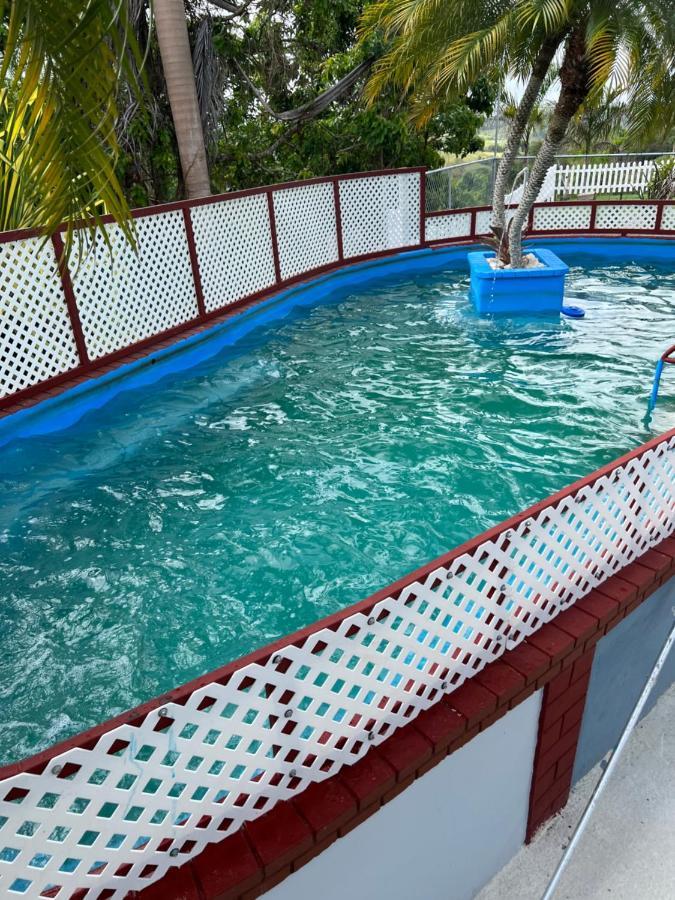 Hotel Hacienda Agroturistico Vista Hermosa Camuy Zewnętrze zdjęcie
